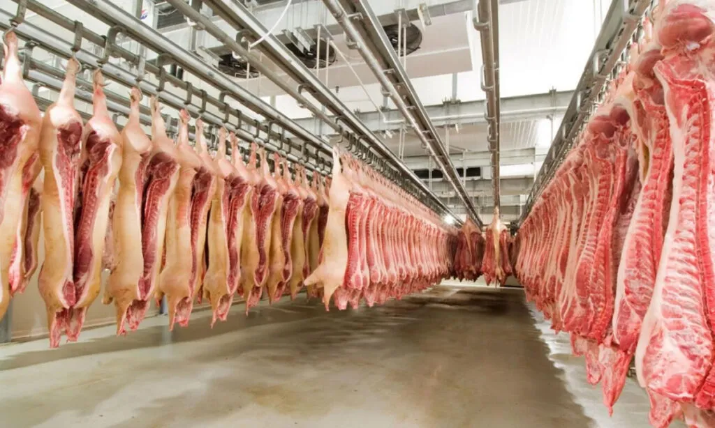 De janeiro a abril, Santa Catarina exportou 677,6 mil toneladas de carnes, gerando uma receita de US$ 1,47 bilhão