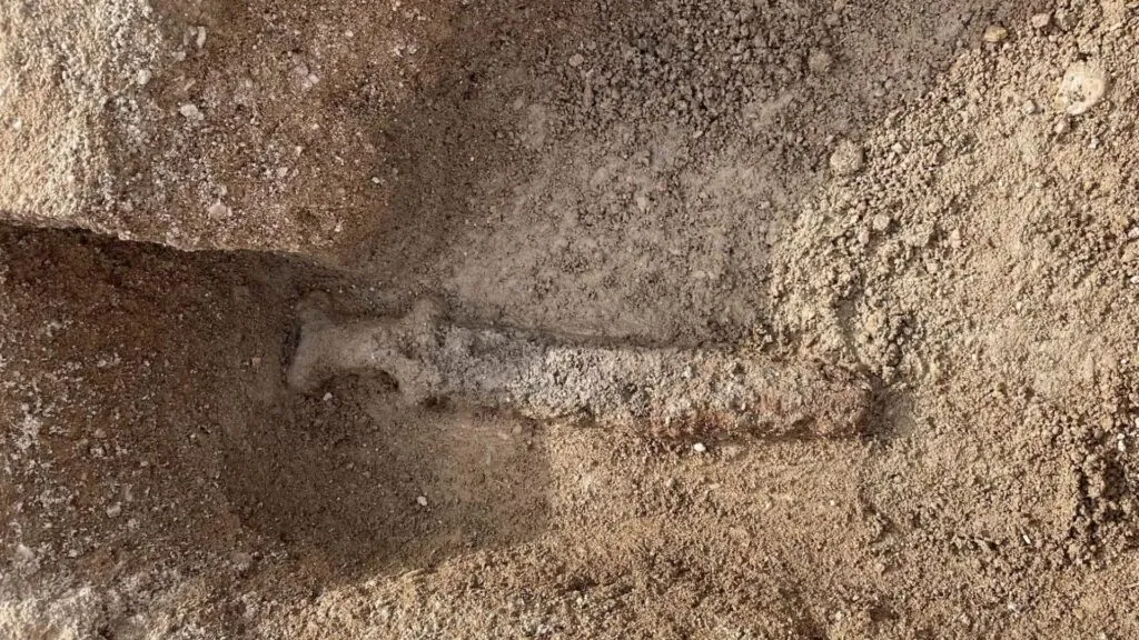 Espada celta de 2.300 anos com suásticas gravadas é encontrada na França