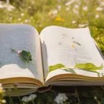 8 livros brasileiros que todo brasileiro deveria ler pelo menos uma vez na vida