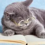 Como ler mais: 7 hábitos para transformar a leitura em um prazer diário