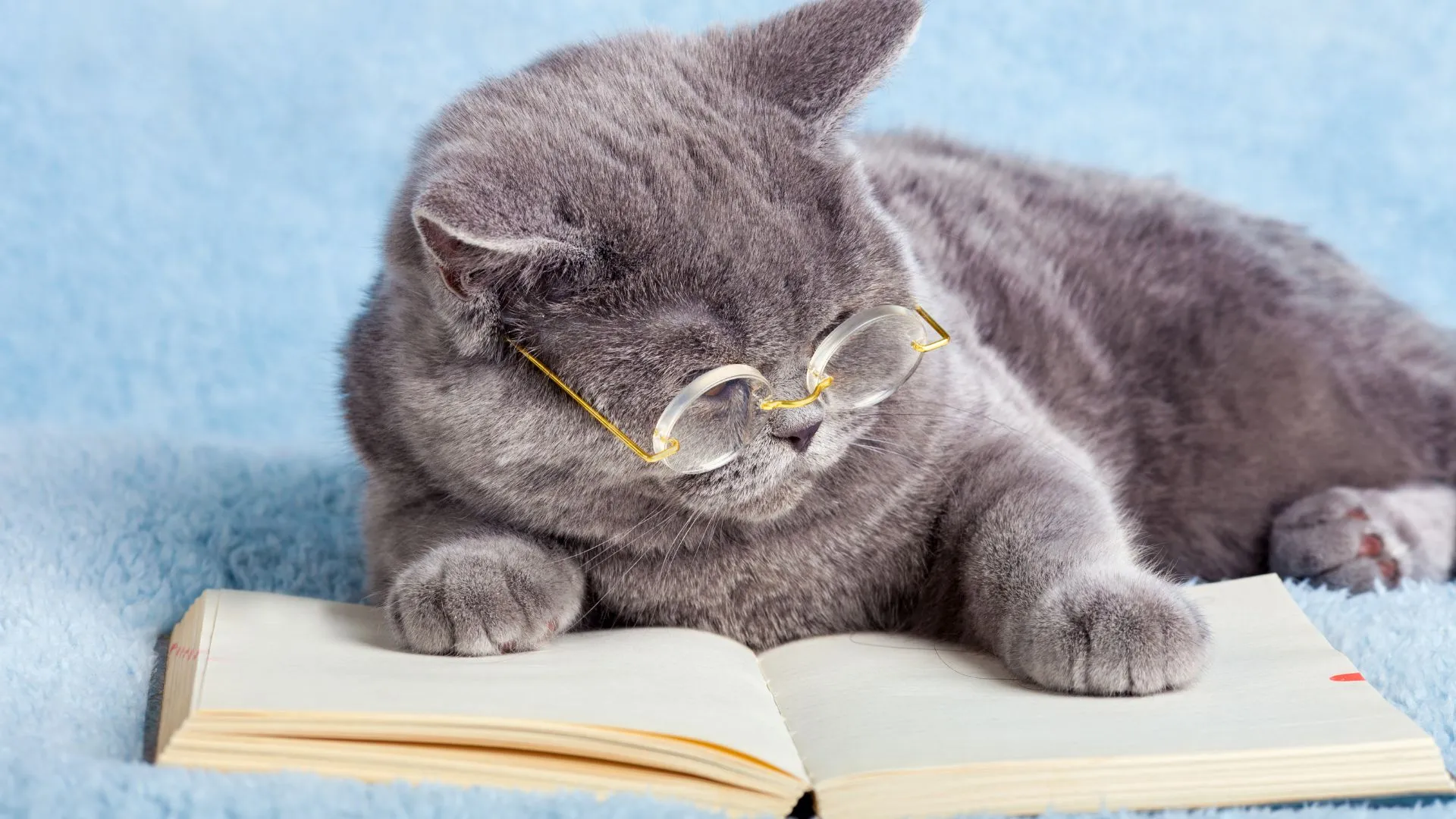 Como ler mais: 7 hábitos para transformar a leitura em um prazer diário
