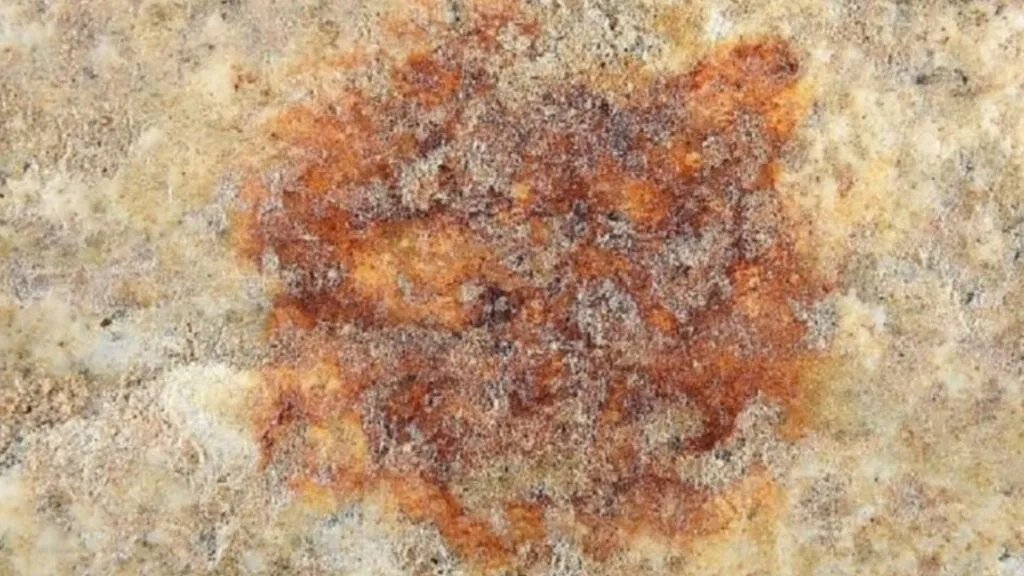 Impressão digital neandertal de 43 mil anos é encontrada