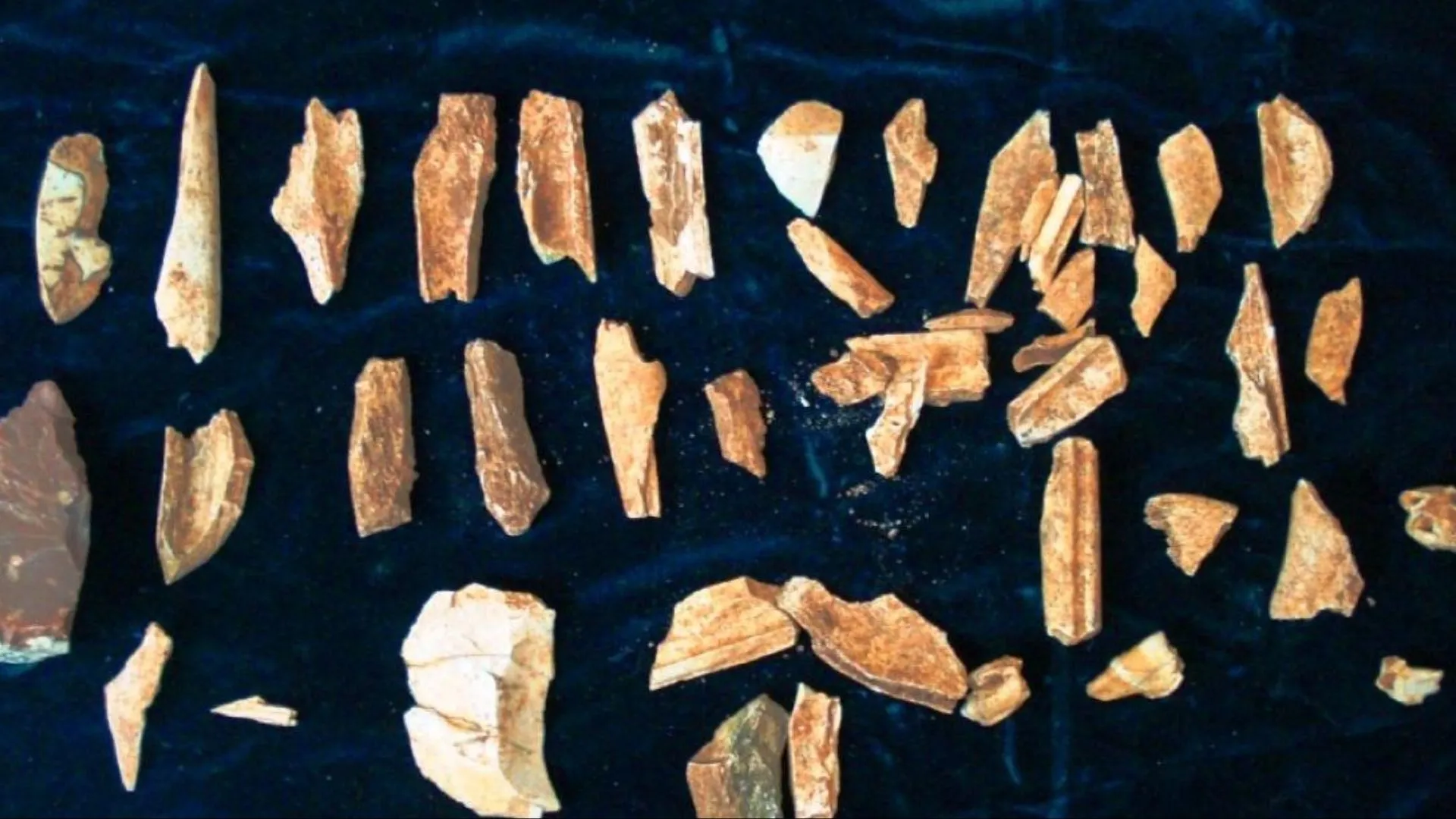 Ferramentas feitas de ossos de baleia revelam ingenuidade de caçadores paleolíticos
