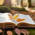 6 livros aconchegantes para ler antes do outono acabar