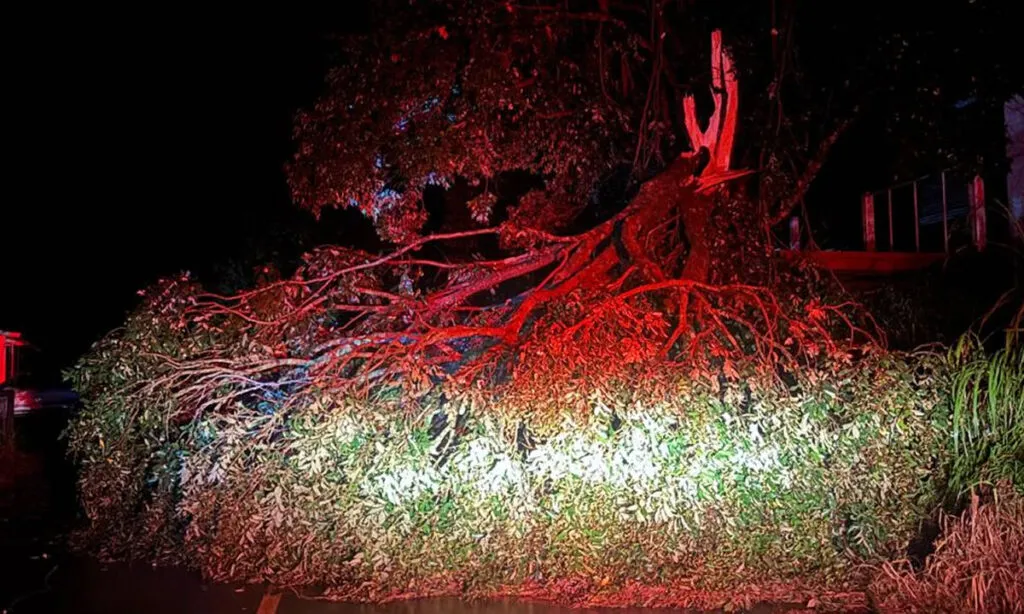 Os  bairros São Luís, Estrela, Progresso e Jardim Peperi estão entre os mais afetados pelo temporal que atingiu a cidade durante a madrugada
