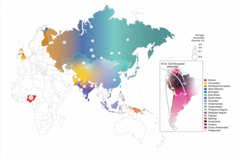 Estudo aponta como os primeiros humanos chegaram à América do Sul vindo do norte da Ásia