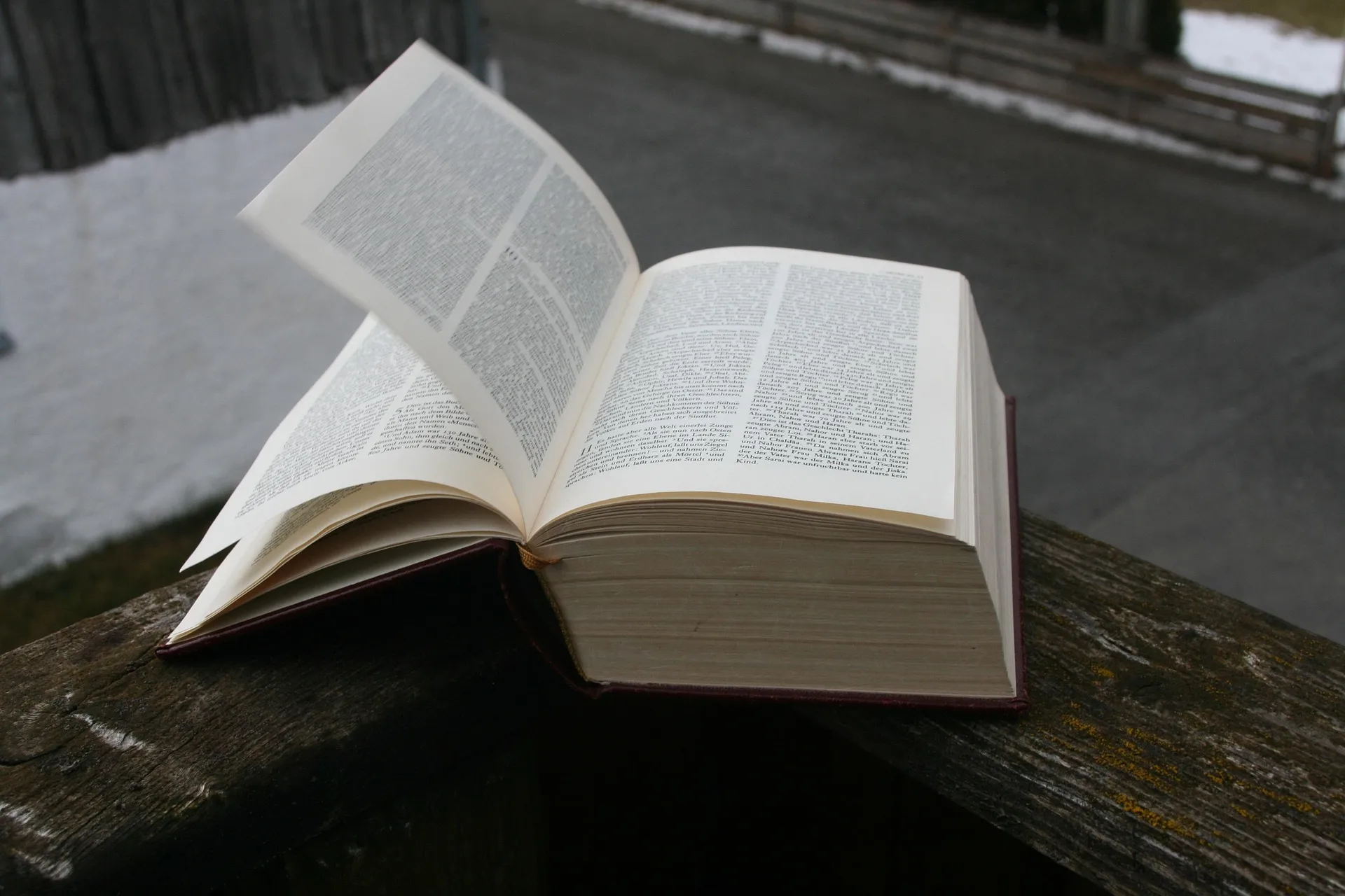 livros 2