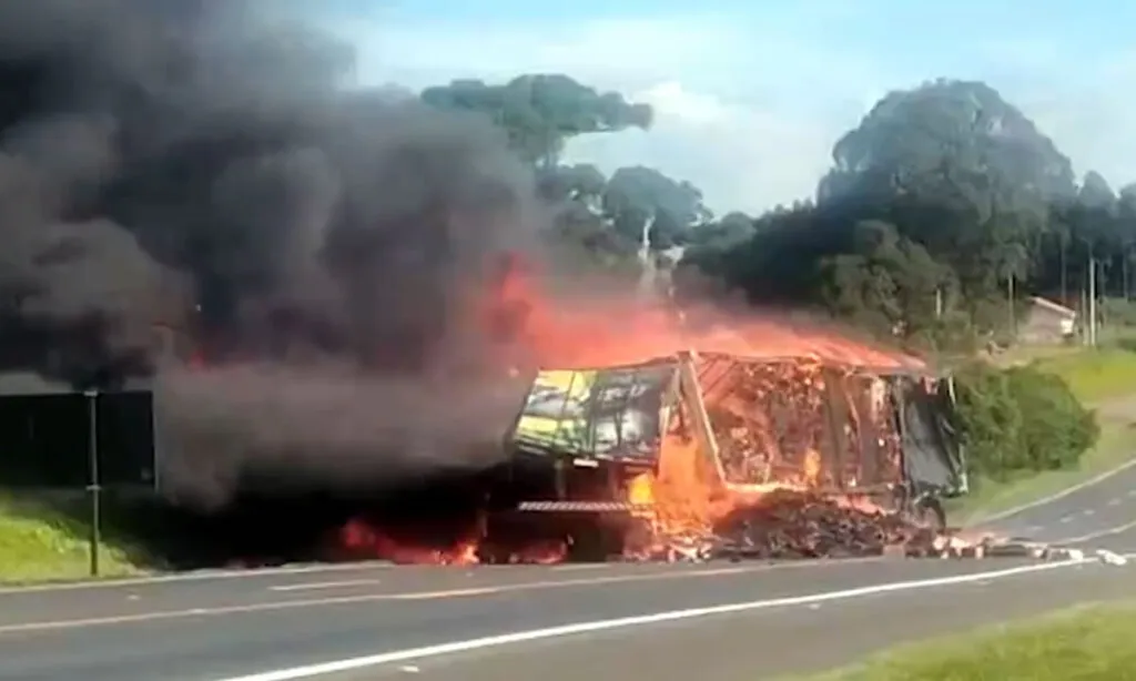 Tio e sobrinho morrem após baterem de frente e caminhões pegarem fogo na BR 373, no PR
