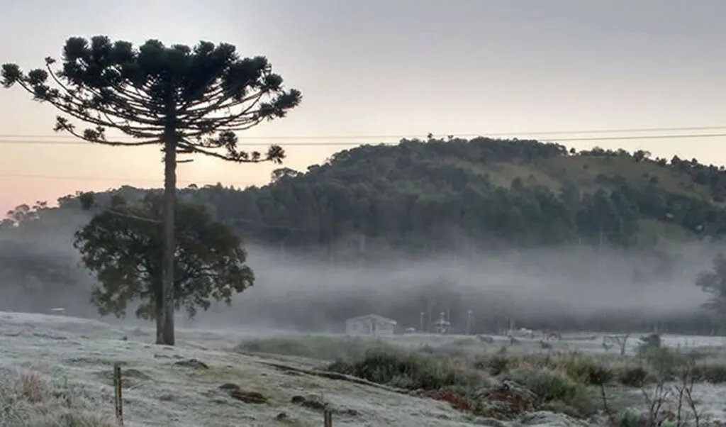 Defesa Civil emite alerta para nova onda de frio com mínima de -4°C e geada em SC