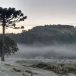 Defesa Civil emite alerta para nova onda de frio com mínima de -4°C e geada em SC