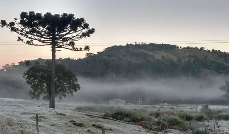 Defesa Civil emite alerta para nova onda de frio com mínima de -4°C e geada em SC