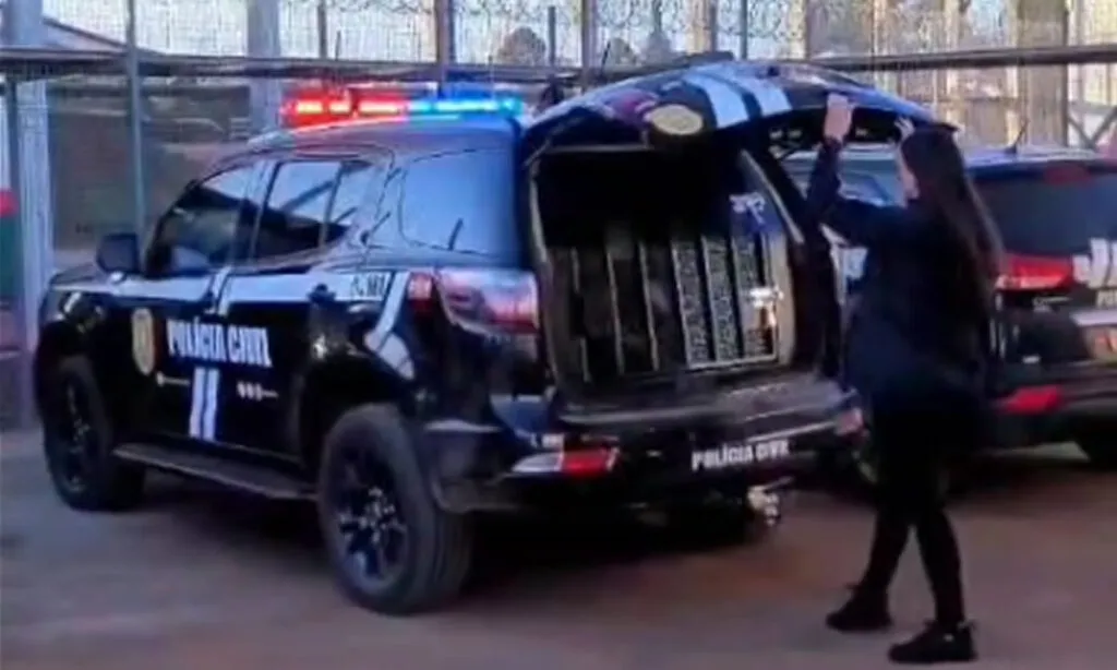 Salete Borges, desapareceu em 23 de maio, e a Polícia Civil acredita que se trata de um caso de feminicídio por encomenda. Dois homens foram presos
