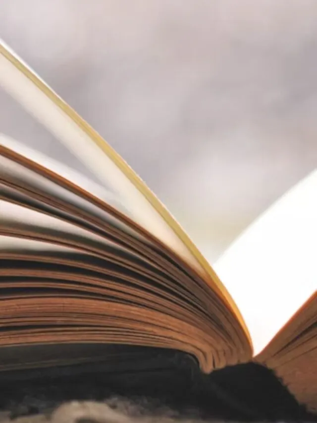 livros de suspense que começam calmos e viram um verdadeiro caos psicológico