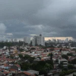 Estudo aponta presença de agrotóxicos proibidos na chuva
