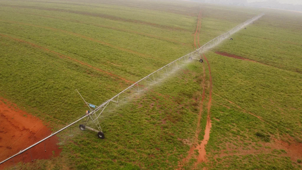 O Governo do Paraná mantém diversas ações para enfrentar os impactos causados pela seca, um fenômeno intensificado pelas mudanças climáticas. 