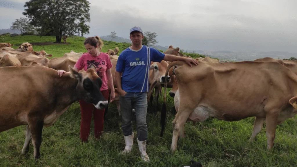 A campanha deste ano tem início a partir de junho