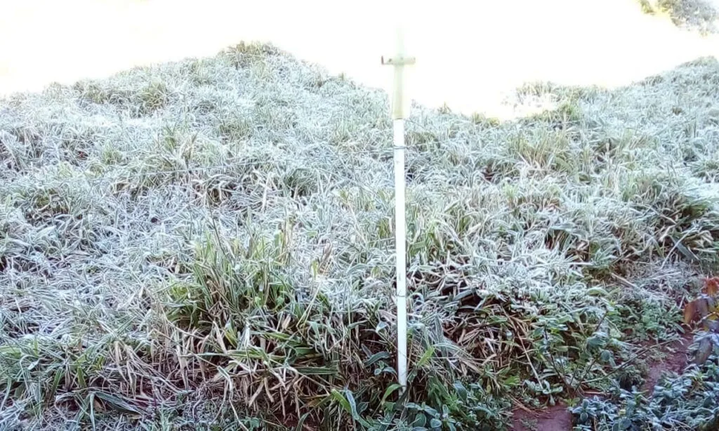 Temperaturas baixas e geada nas primeiras horas; previsão indica continuidade do frio intenso nos próximos dias