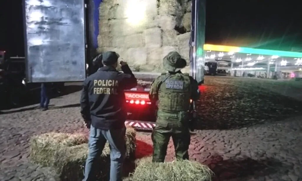 A apreensão do caminhão e a carga de feno foi realizada em uma ação conjunta da Polícia Federal e as equipes do Batalhão de Polícia de Fronteira - BPFron