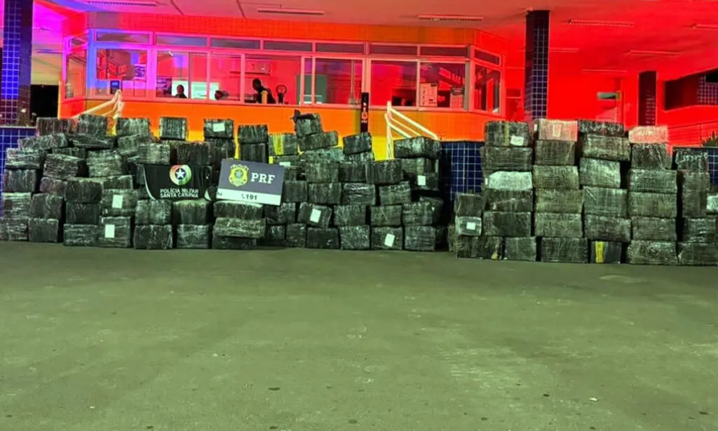 PRF e PM realizaram a maior apreensão de maconha do ano em Santa Catarina; foram apreendidas 9,4 toneladas de maconha