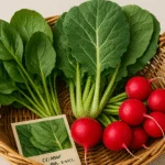 3 Plantas que você pode cultivar no inverno