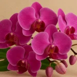 As 10 flores mais escolhidas para o Dia de Finados