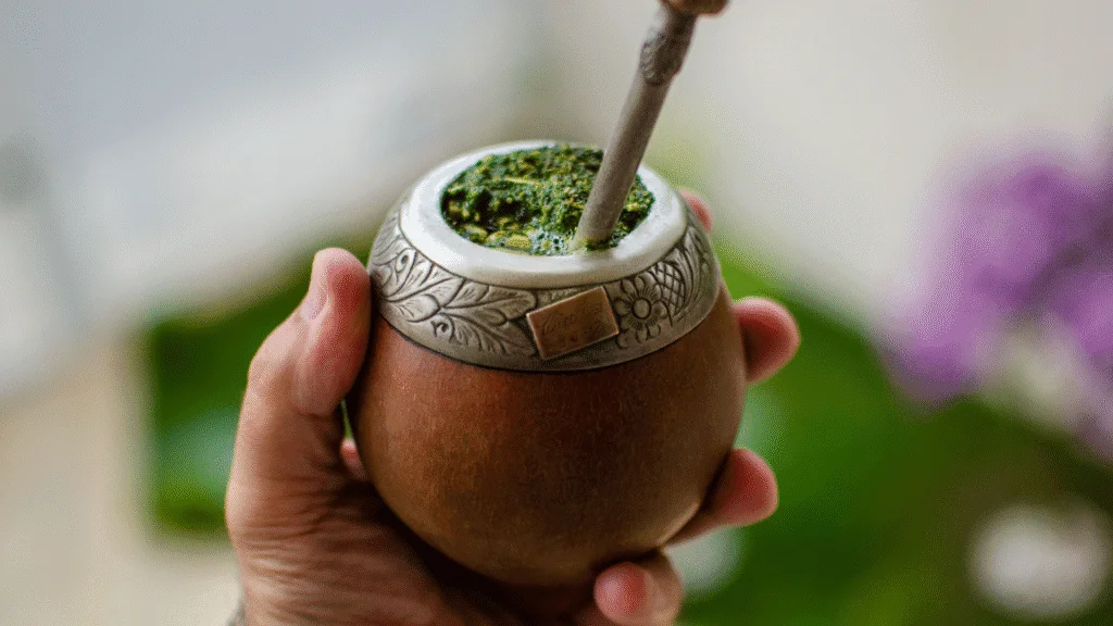 Os segredos do chimarrão 15 fotos nicolle 1920 x 1080 px 2025 06 25T145228.196