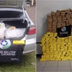 Polícias do PR e SC apreendem 197 kg de maconha e prendem casal por tráfico e adulteração veicular