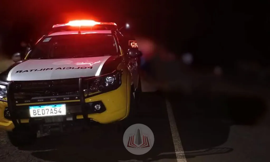 Aos policiais o motorista do caminhão apresentou várias versões sobre a origem dos animais, num primeiro momento disse que seria de Barracão, depois da Argentina