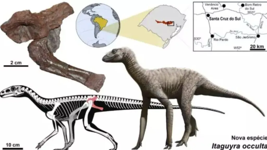 Nova espécie pré-histórica descoberta no RS pode esclarecer a origem dos dinossauros