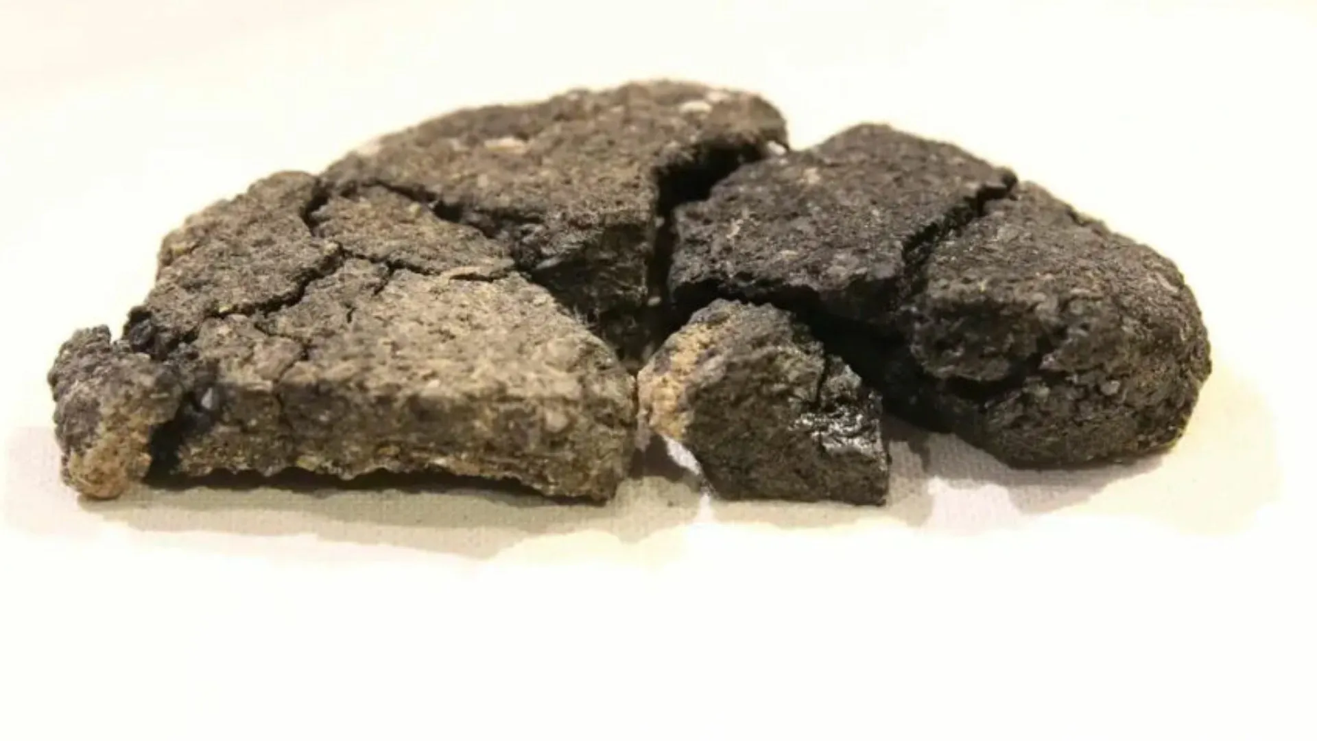 Pão de 5.000 anos revela segredos da panificação na Idade do Bronze