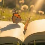 5 livros brasileiros curtos que vão te fazer refletir a vida toda