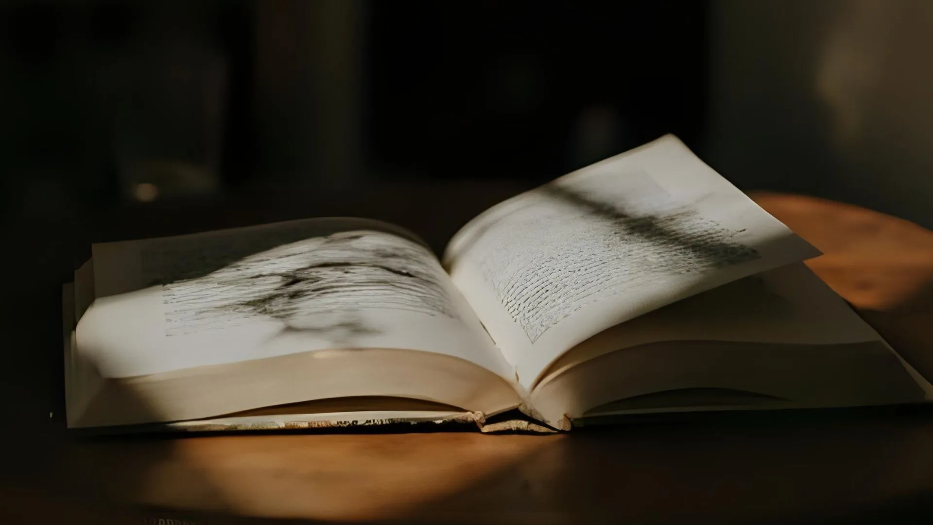 livros de suspense pouco famosos que vão te deixar louco