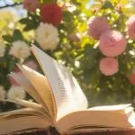 6 livros que começam como comédia romântica e acabam em lágrimas