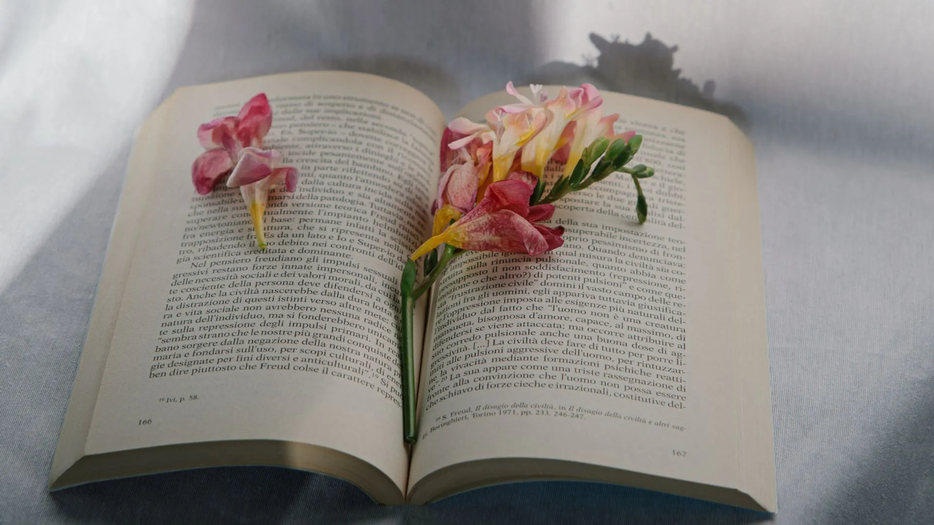 livros sobre amores proibidos que transcendem o tempo