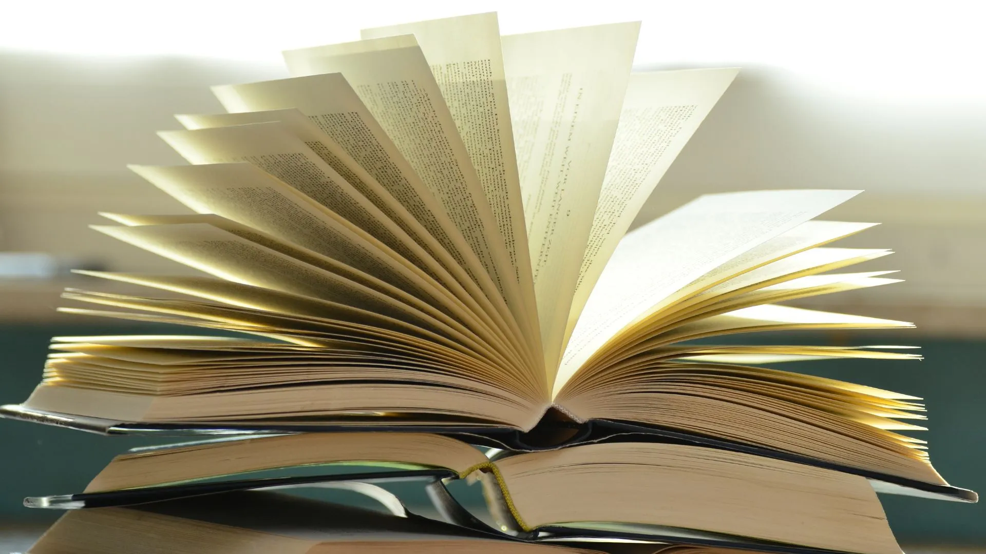 livros de mistério que giram em torno de um assassinato