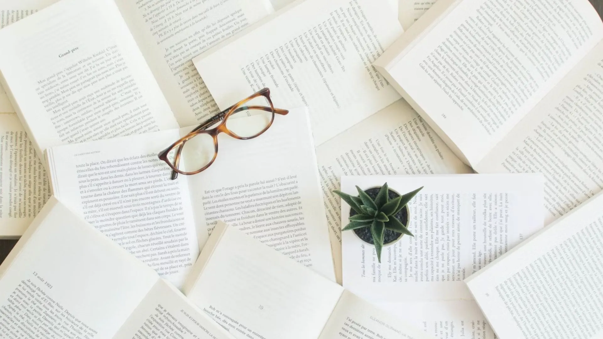 livros sobre relações ruins com o pai