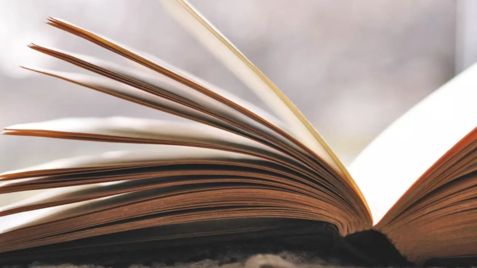 livros de suspense que começam calmos e viram um verdadeiro caos psicológico