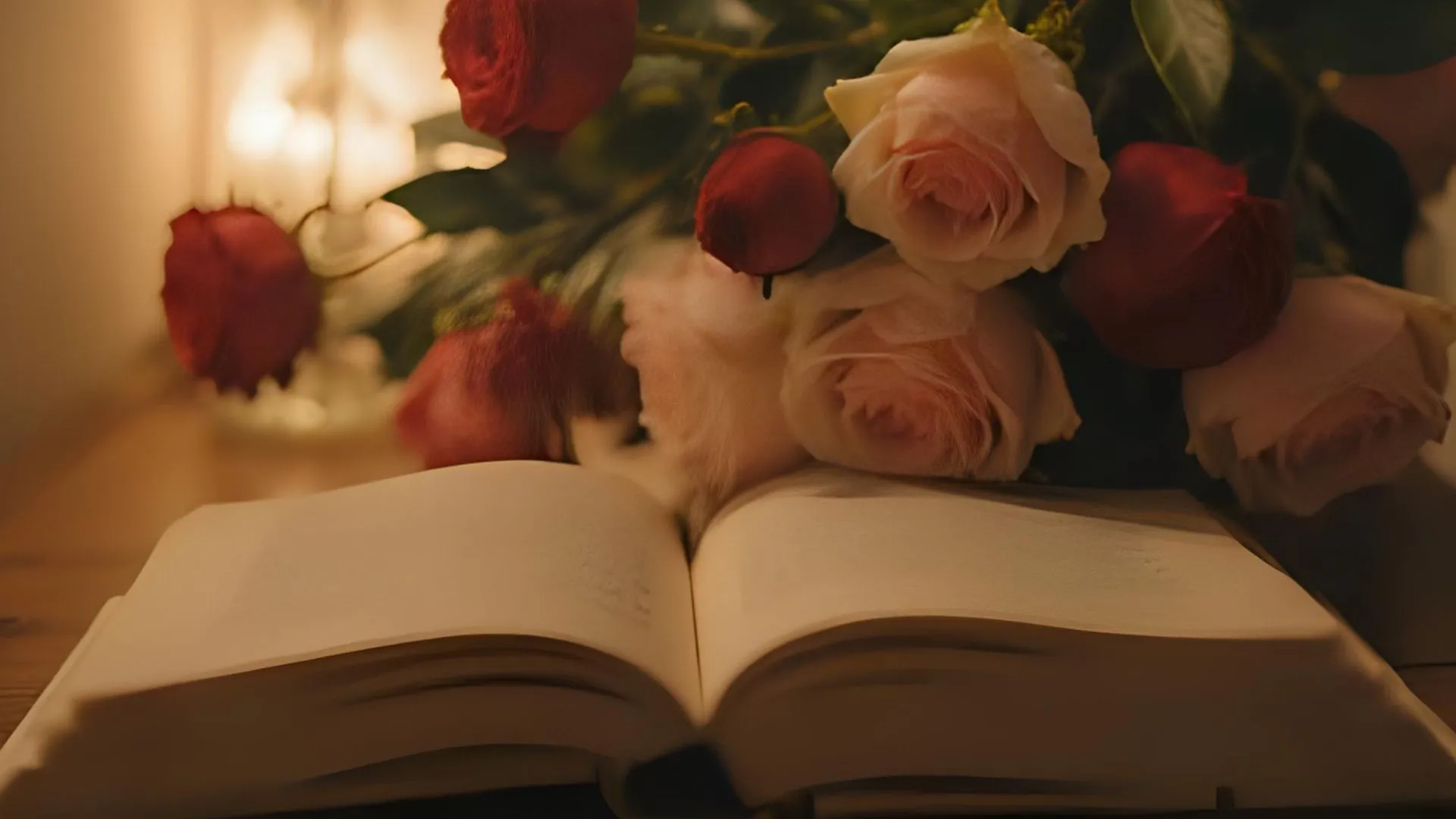 livros que mostram que o amor pode ser tragédia