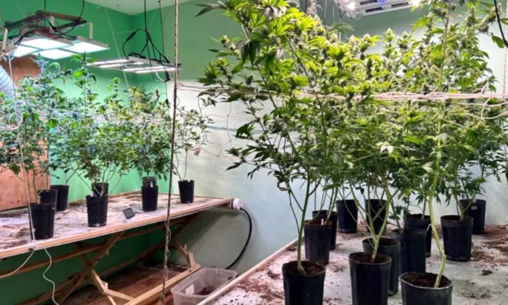 O imóvel de alto padrão que servia como laboratório de drogas na capital foi descoberto durante uma operação da Polícia Civil