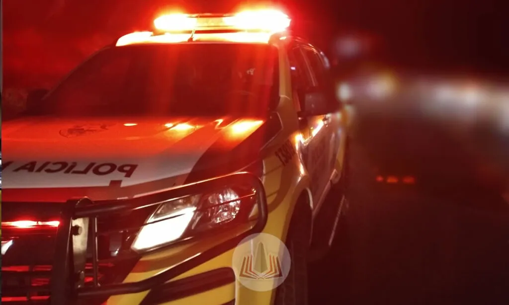 Caminhão com 22 ovelhas, galinhas e patos sem licença sanitária é apreendido