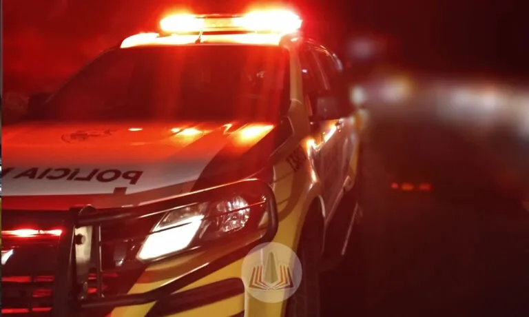 Caminhão com 22 ovelhas, galinhas e patos sem licença sanitária é apreendido