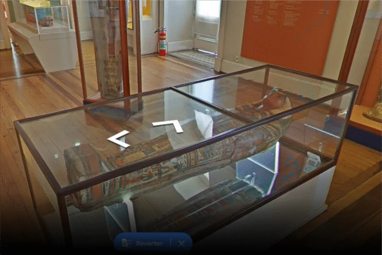 6 museus virtuais de arqueologia para você se conectar com a história do Brasil