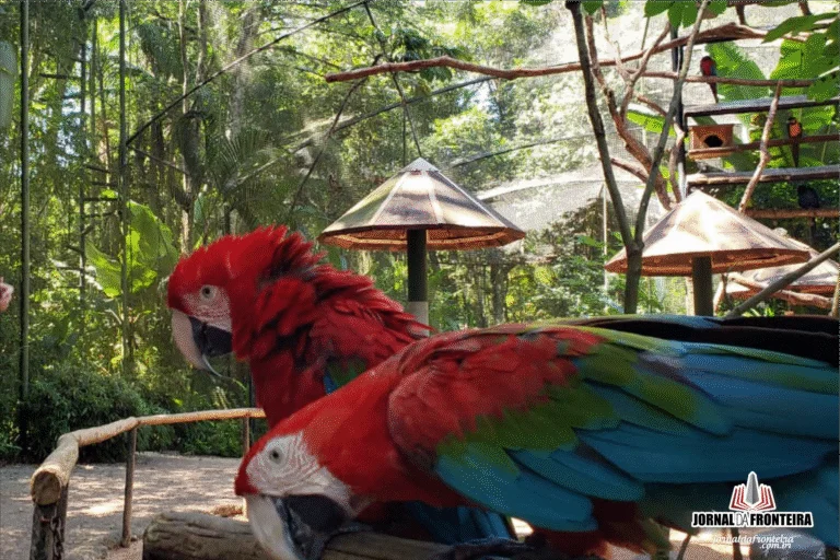 Brasil registra recorde de visitas em parques ambientais em 2024
