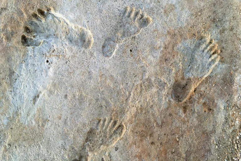Encontradas pegadas humanas de 23 mil anos que sugerem da ocupação das Américas antes do que se pensava