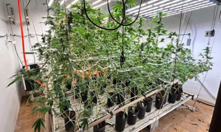 Imóvel de alto padrão servia como laboratório de drogas em SC