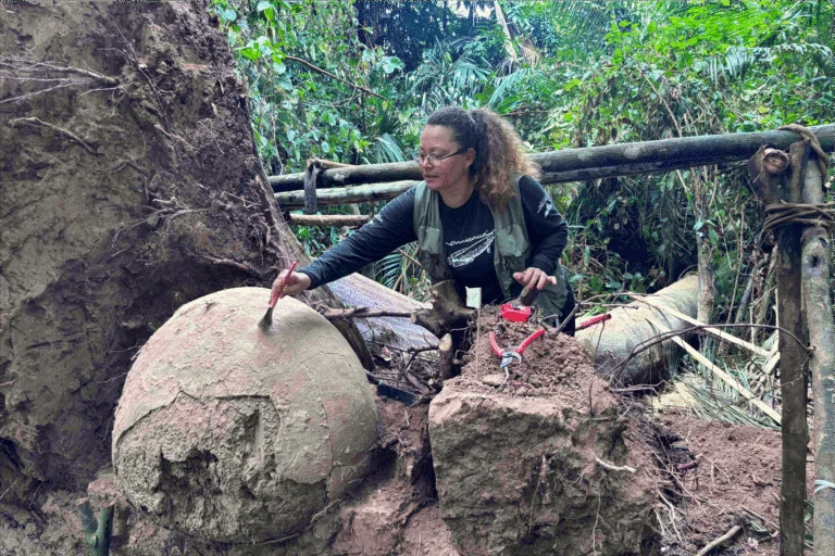 Encontradas 7 urnas funerárias ancestrais embaixo de uma árvore milenar da Amazônia