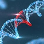 Geneticamente transmitida? Adrenoleucodistrofia, a rara doença invisível