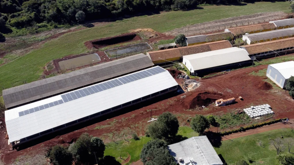 Paraná oferece crédito com juros reduzidos ou zerados para produtores rurais, com foco em energia limpa, irrigação, agricultura familiar e desenvolvimento regional