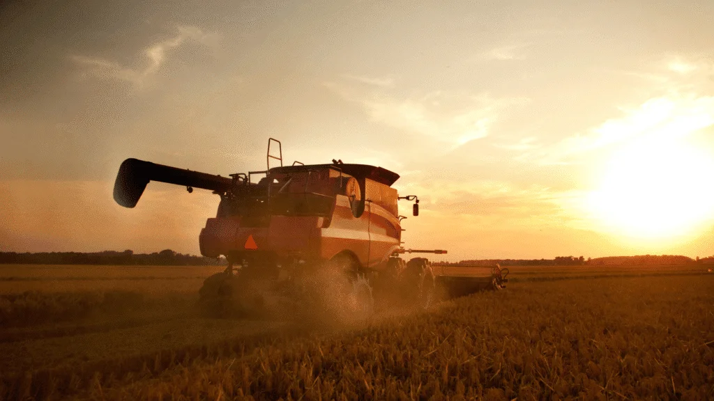 Plantio de trigo é concluído no Paraná com alta estimada de 16% na produção 4 crys 18 6