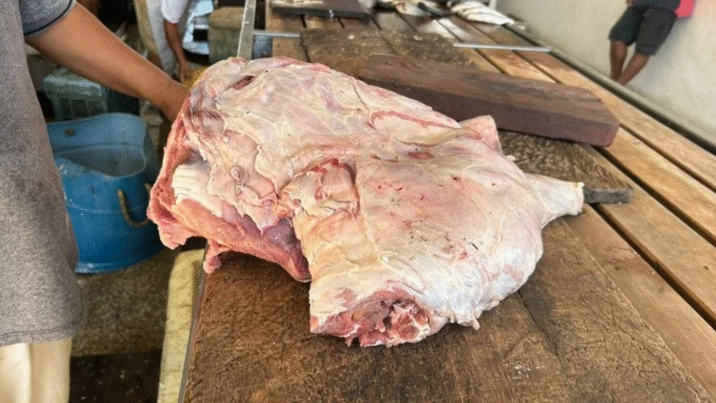 Cerca de 10 quilos de carne de capivara foram apreendidos nesta terça-feira (15) em uma banca do Mercado Municipal de Itacoatiara, município situado a 176 quilômetros de Manaus.